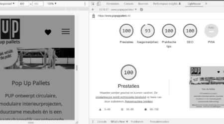 Desktop google lighthouse pop up pallets