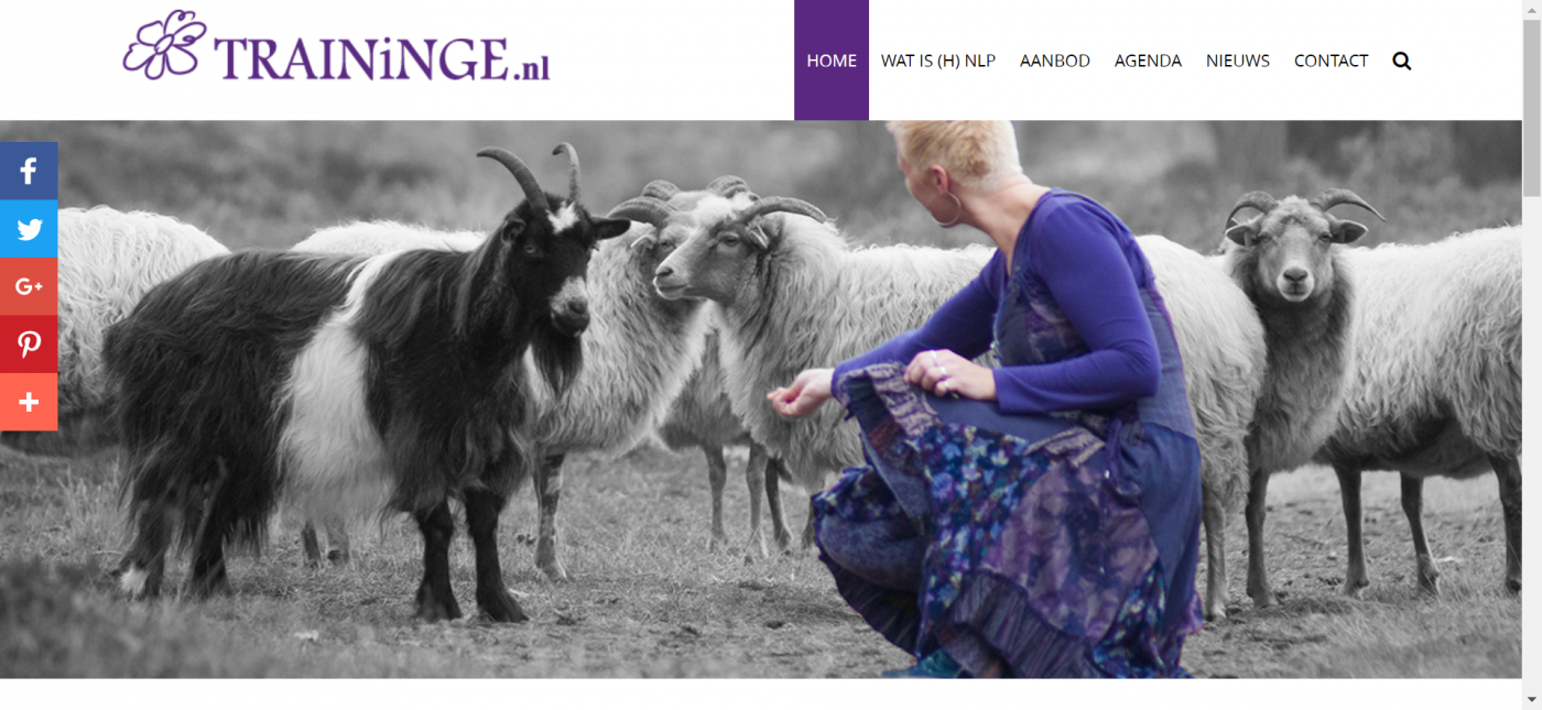 TRAINiNGE NLP Opleidingen