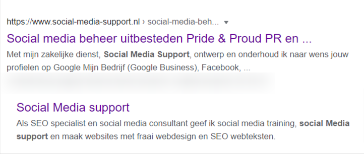 Social media Support in Google